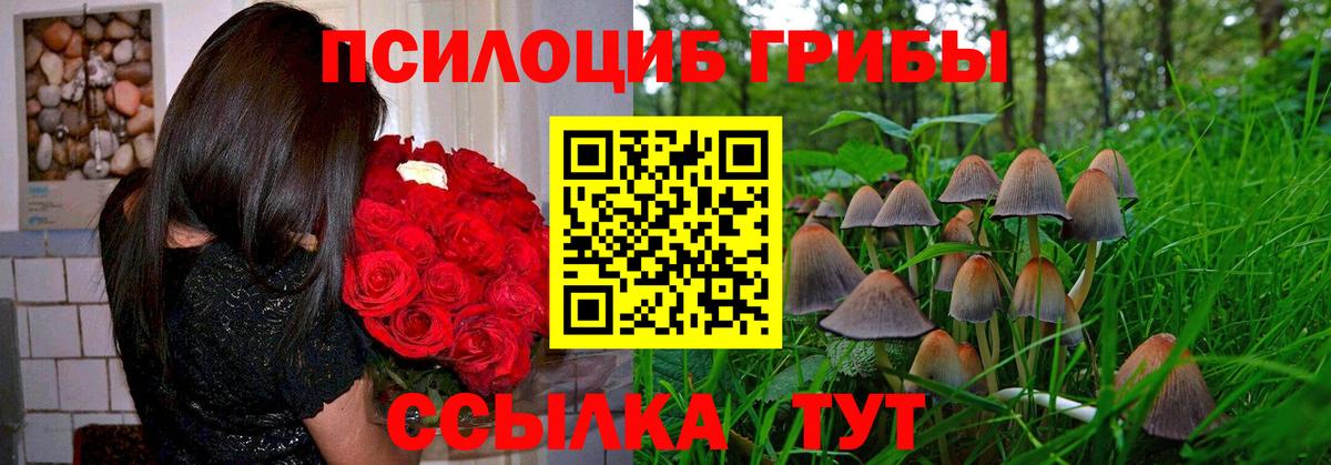 Псилоцибиновые грибы GOLDEN TEACHER  Галлюциногенные грибы прущие грибы  Вход с VPN  Муравленко 